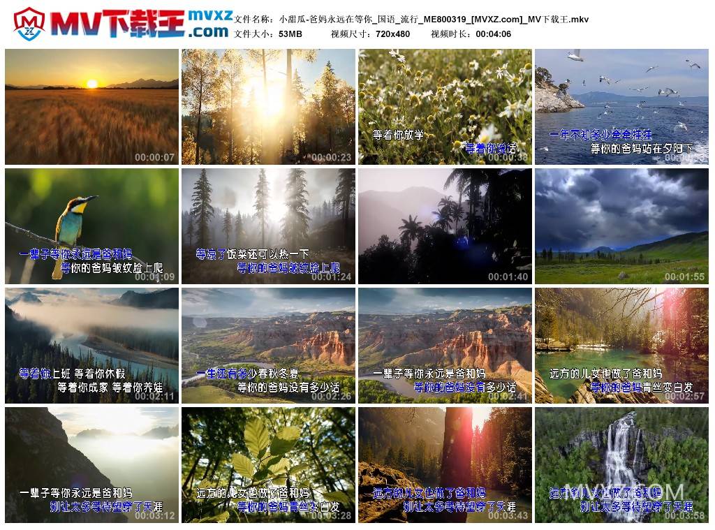 小甜瓜-爸妈永远在等你_国语_流行_ME800319